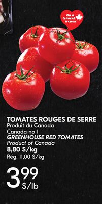 TOMATES ROUGES DE SERRE