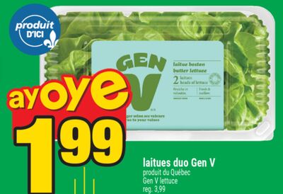 laitues duo Gen V | Gen V lettuce