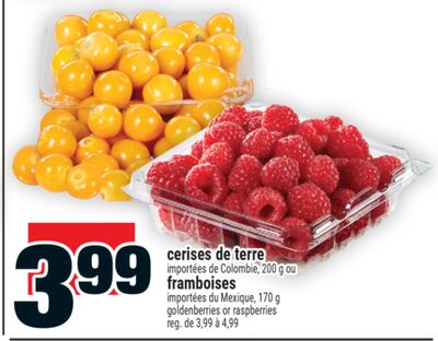 cerises de terre ou framboises | goldenberries or raspberries