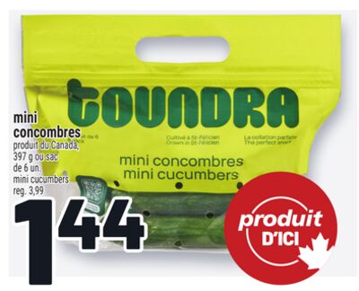 MINI CONCOMBRES | MINI CUCUMBERS