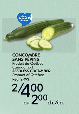 CONCOMBRE SANS PÉPINS