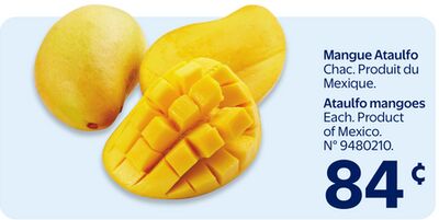 Mangue ataulfo