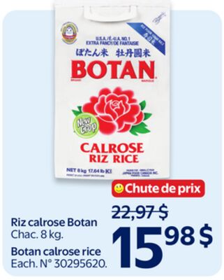 Riz calrose botan