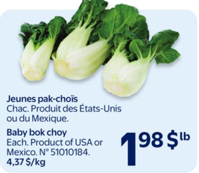 Jeunes pak-choïs