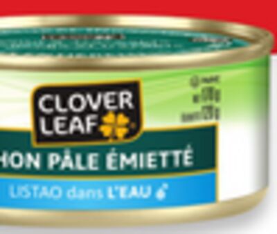 Thon clover leaf