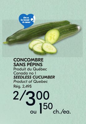 Concombre sans pépins