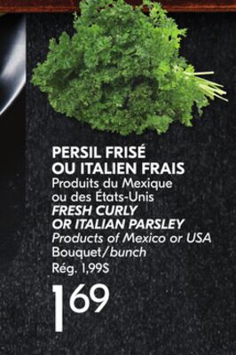 PERSIL FRISÉ OU ITALIEN FRAIS