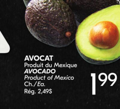 AVOCAT