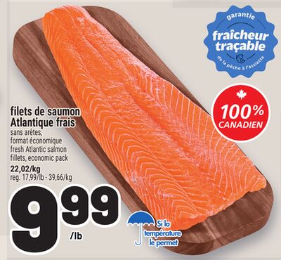FILETS DE SAUMON ATLANTIQUE FRAIS | FRESH ATLANTIC SALMON FILLETS