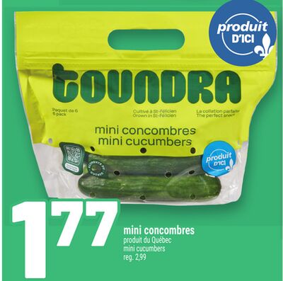 Mini concombres
