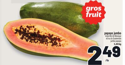 PAPAYE JUMBO | JUMBO PAPAYA