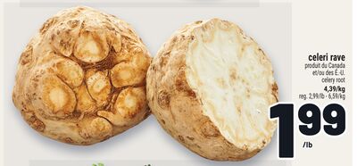 CELERI RAVE | CELERY ROOT