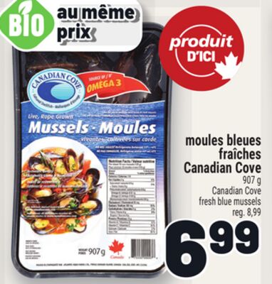 Moules bleues fraîches canadian cove