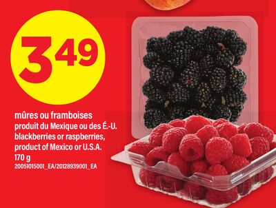 MÛRES OU FRAMBOISES | BLACKBERRIES OR RASPBERRIES, 170 g