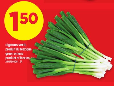 OIGNONS VERTS | GREEN ONIONS