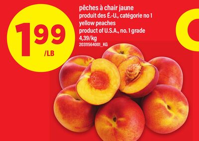 PÊCHES À CHAIR JAUNE │ YELLOW PEACHES