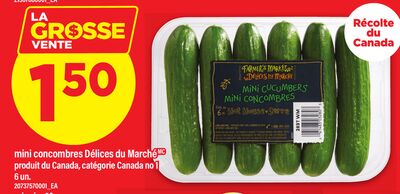 MINI CONCOMBRES DÉLICES DU MARCHÉ, 6 un.