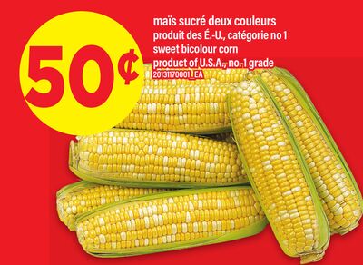 maïs sucré deux couleurs | sweet bicolour corn