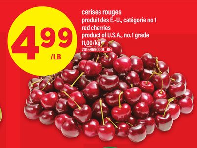 Cerises rouges │ red cherries