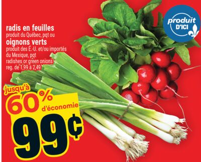 Radis en feuilles