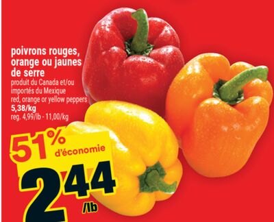 Poivrons rouges, orange ou jaunes de serre