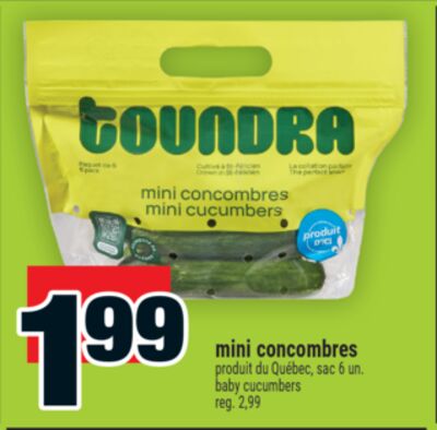 Mini concombres