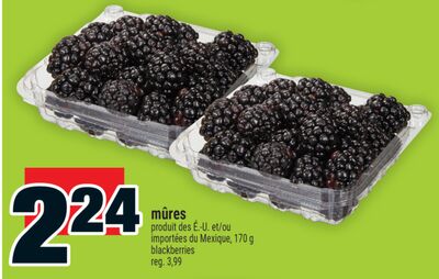 MÛRES | BLACKBERRIES