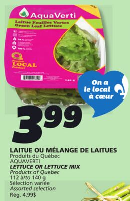 Laitue ou mélange de laitues aquaverti
