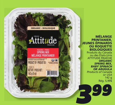 Mélange printanier, jeunes épinards ou roquette biologiques