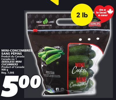 Mini-concombres sans pépins