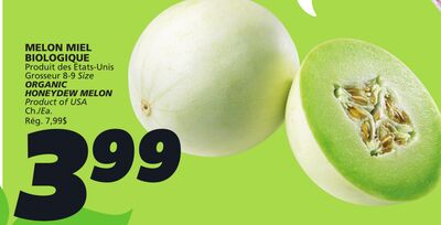 Melon miel biologique