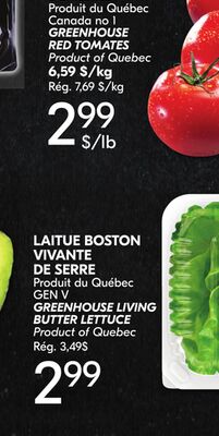 TOMATES ROUGES DE SERRE