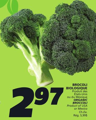 BROCOLI BIOLOGIQUE