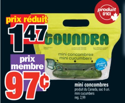 Mini concombres